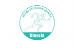 Logo KINEZIS Krzysztof Komisarek