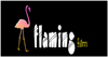 Logo FLAMING FILM