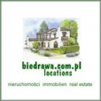 Logo biedrawa locations