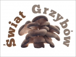 Logo Świat grzybów