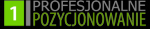 Logo Profesjonalne Pozycjonowanie