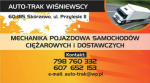 Logo AUTO-TRAK WIŚNIEWSCY