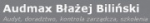 Logo Audmax Błażej Biliński