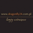 Logo Dragonfly24