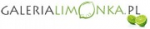 Logo EXCEL Aneta Sielicka