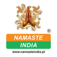 Logo Namaste India