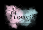 Logo Namera