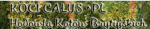 Logo Koci Całus*PL