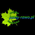 Logo Nauka i Technika Jazdy Rawo