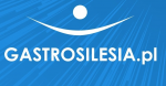 Logo Gastrosilesia.pl - Weindich Sp. z o.o.