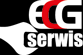 Logo Ecg Serwis