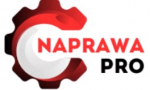 Logo Serwis NaprawaPro.pl Yevhen Yenin